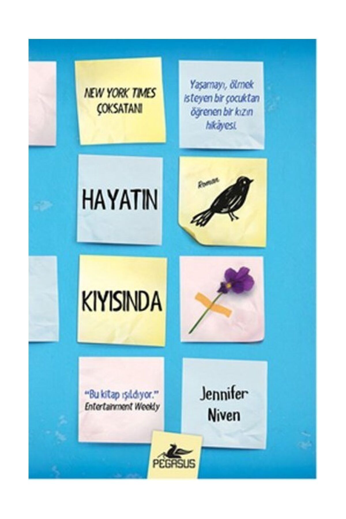 pegasus yayinlari hayatin kiyisinda fiyati yorumlari trendyol