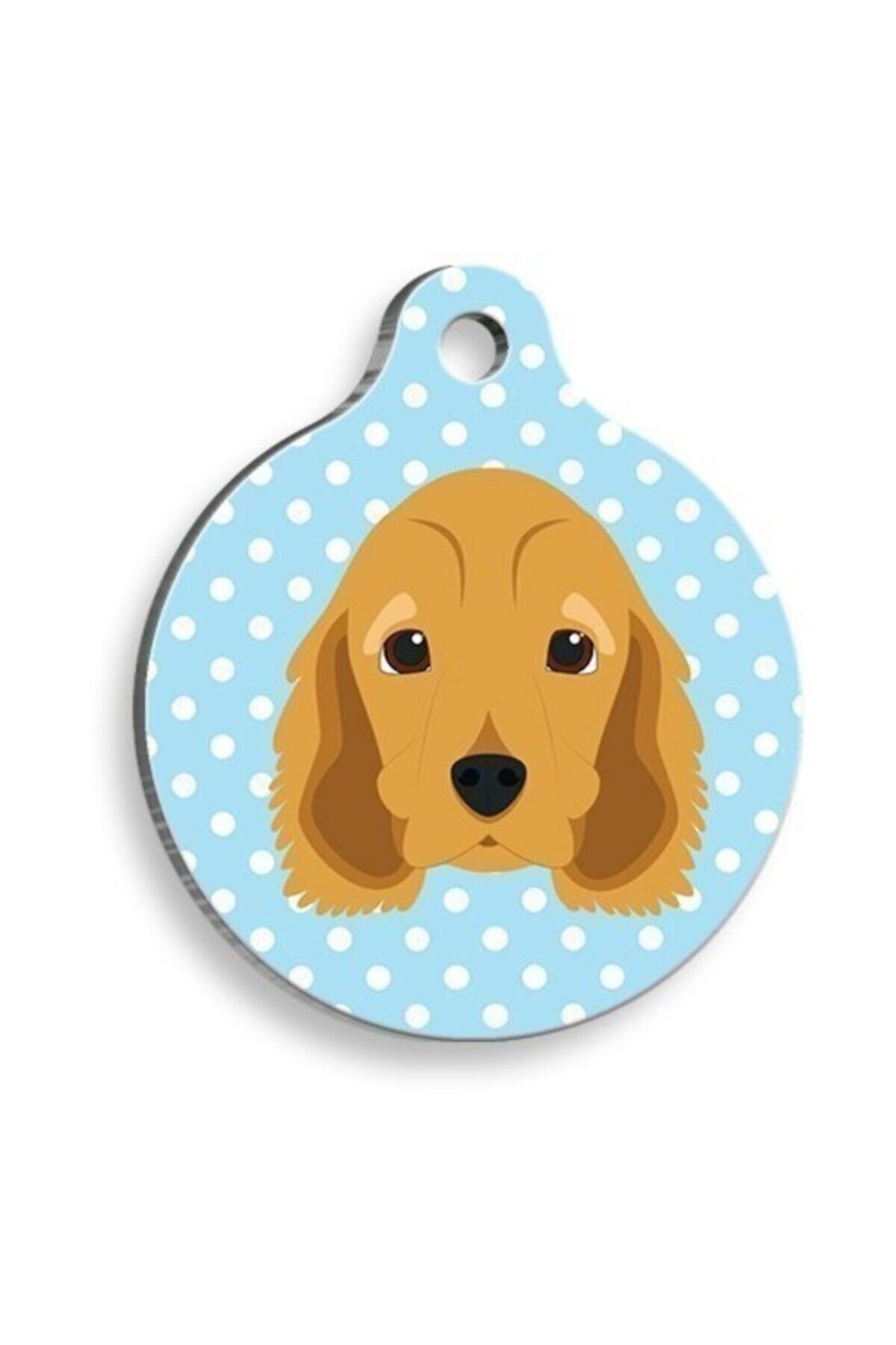 altın pati Mavi Puantiyeli Cocker Spaniel Yuvarlak Köpek Künyesi