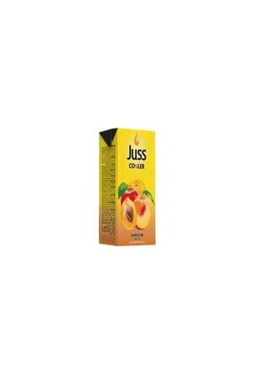 Juss Karışık Meyve Nektari 200ml X 27 Adet Image 0