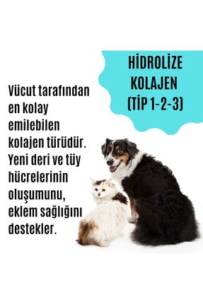 Kedi & Köpek Bağışıklık Destekleyici Multivitamin (TÜY DÖKÜLMESİNİ ENGELLEYEN ÖZEL DESTEK ÜRÜNÜ) Image 2