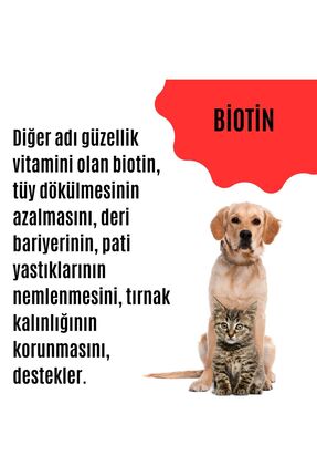 Kedi & Köpek Bağışıklık Destekleyici Multivitamin (TÜY DÖKÜLMESİNİ ENGELLEYEN ÖZEL DESTEK ÜRÜNÜ) Image 5