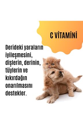 Kedi & Köpek Bağışıklık Destekleyici Multivitamin (TÜY DÖKÜLMESİNİ ENGELLEYEN ÖZEL DESTEK ÜRÜNÜ) Image 7