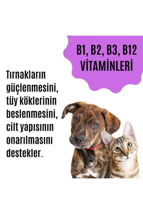 Kedi & Köpek Bağışıklık Destekleyici Multivitamin (TÜY DÖKÜLMESİNİ ENGELLEYEN ÖZEL DESTEK ÜRÜNÜ) Image 6