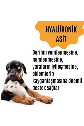 Kedi & Köpek Bağışıklık Destekleyici Multivitamin (TÜY DÖKÜLMESİNİ ENGELLEYEN ÖZEL DESTEK ÜRÜNÜ) Image 3