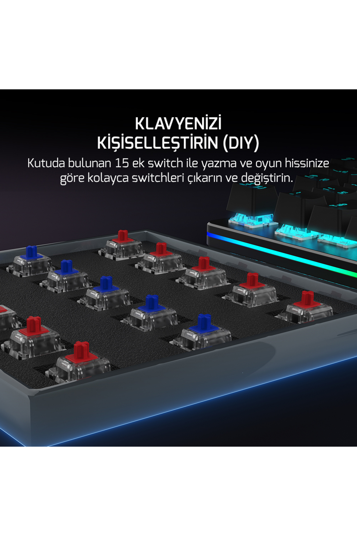 1_org_zoom.jpg