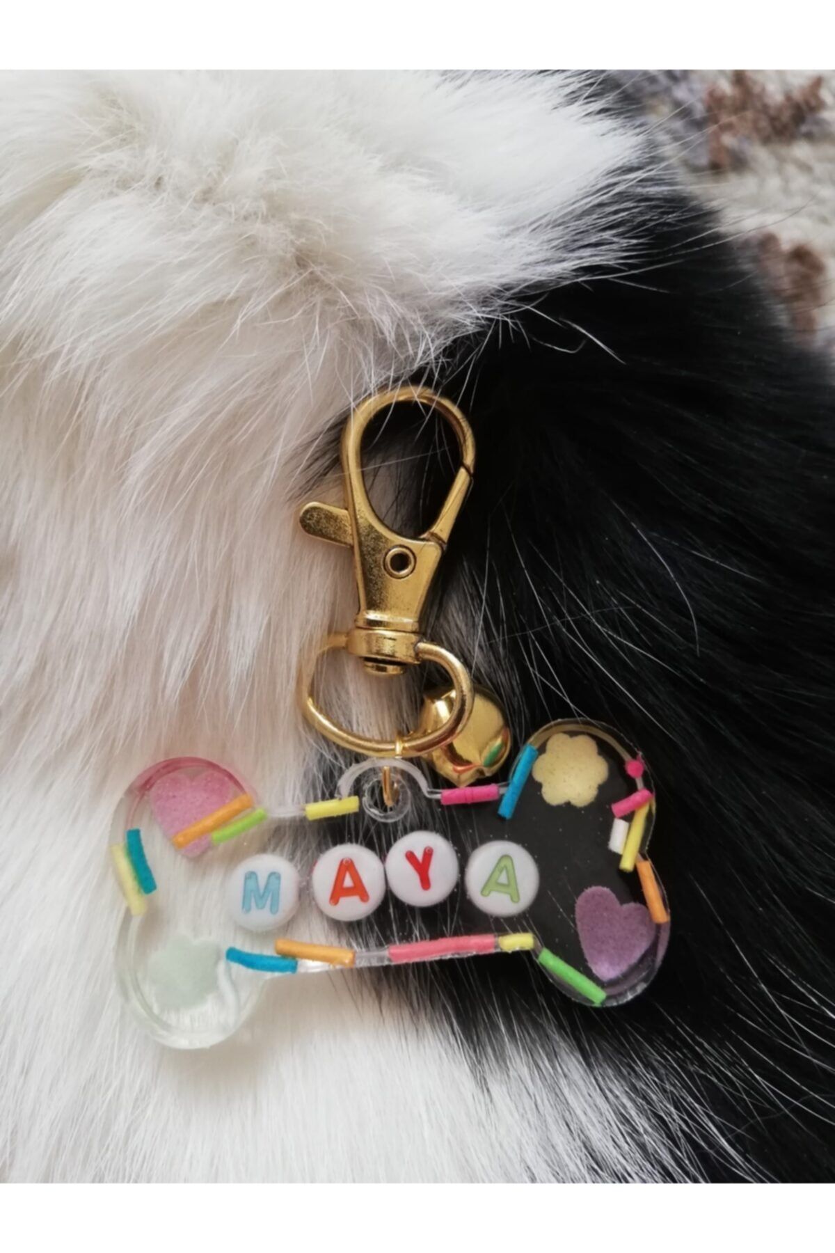 MYNOVA HOME Kedi Köpek Tasma Künyesi Maya Isimli