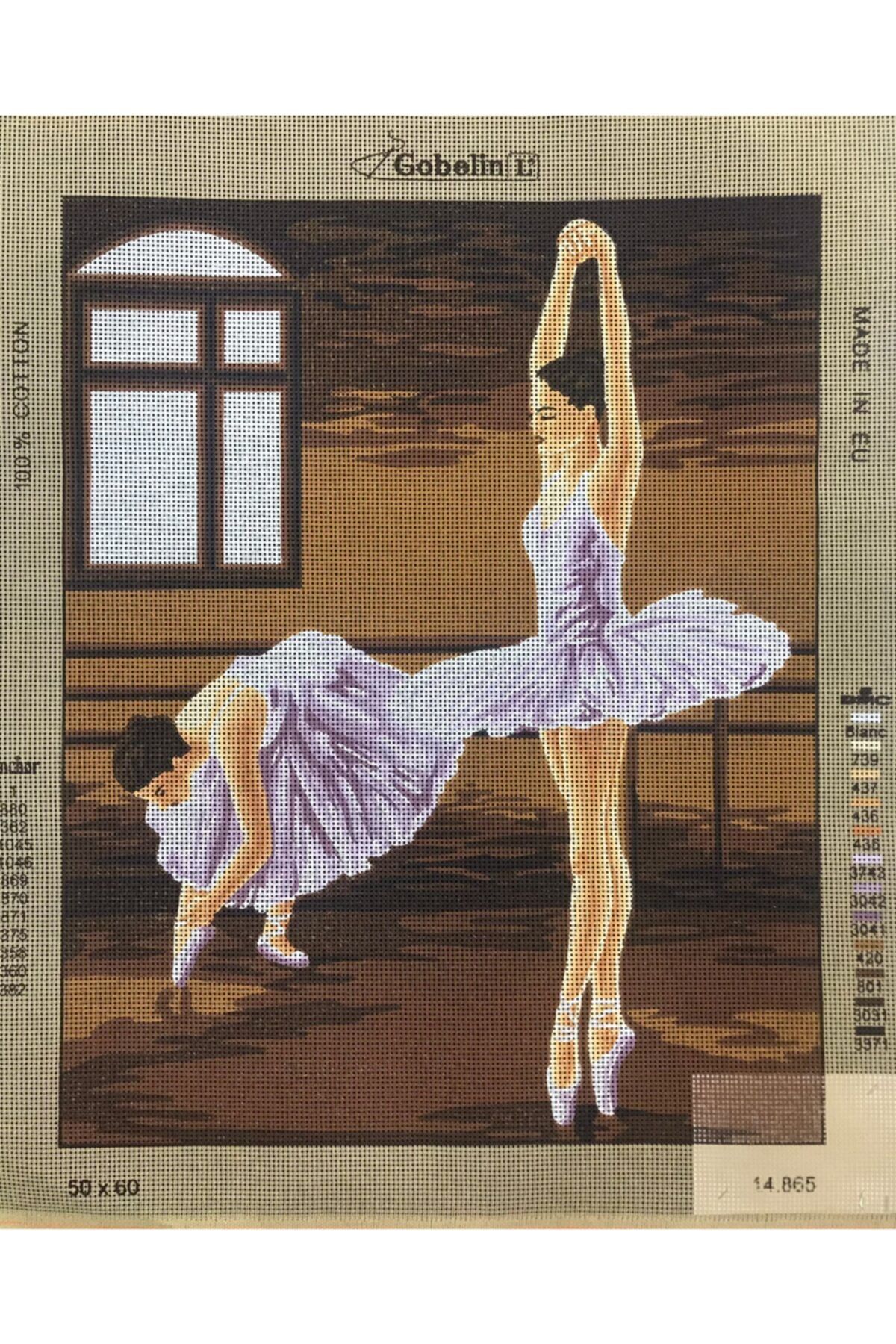 gobelin Baskılı Goblen 50x60 Cm Ve 35 Adet Dmc Muline