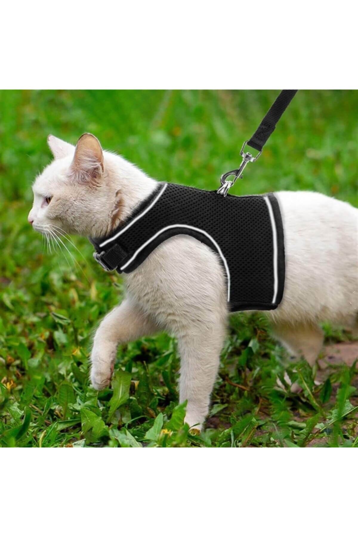 kedikerekedii Yeni Nesil Nefes Alabilen Kedi Göğüs Tasması Seti Siyah