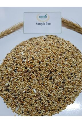 Karışık Muhabbet Kuşu Yemi- Ekmeksiz- 10 Kg Image 0