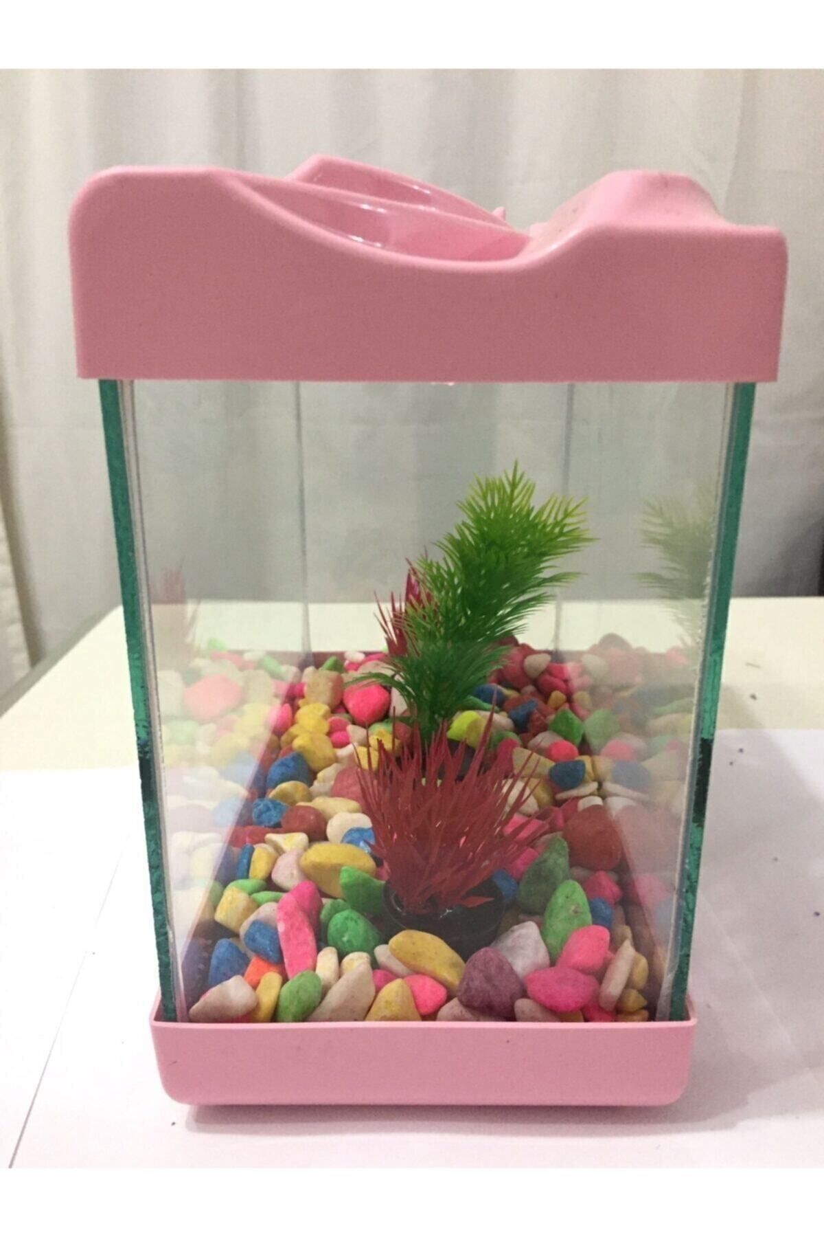لوازم جانبی آکواریوم کوچک پت شاپ ابراهیملی 20 سانتی متری 4 لیتری صورتی