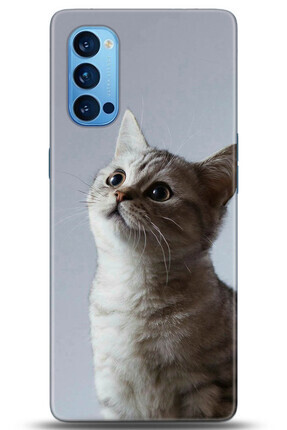 Reno 4 Pro 5G Kılıf HD Baskılı Kılıf - Followed Institution 0649 Image 0