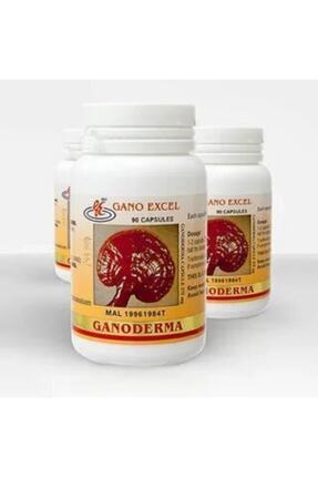 Ganoderma Kapsül, Excellium Kapsül, Reishi Gold Kapsül 3lü Set Image 0