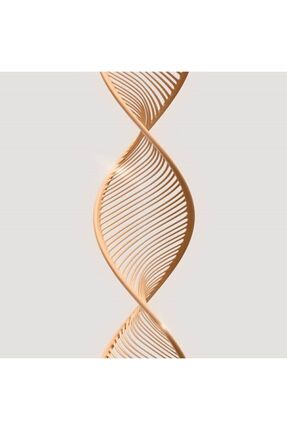 Giordani Gold Pure Úforia Yumuşak Dokulu Fondöten-vanilla Image 3