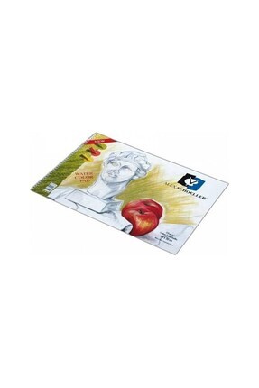 Spiralli Resim Defteri 15 Yp. 35x50-120 gr Image 0
