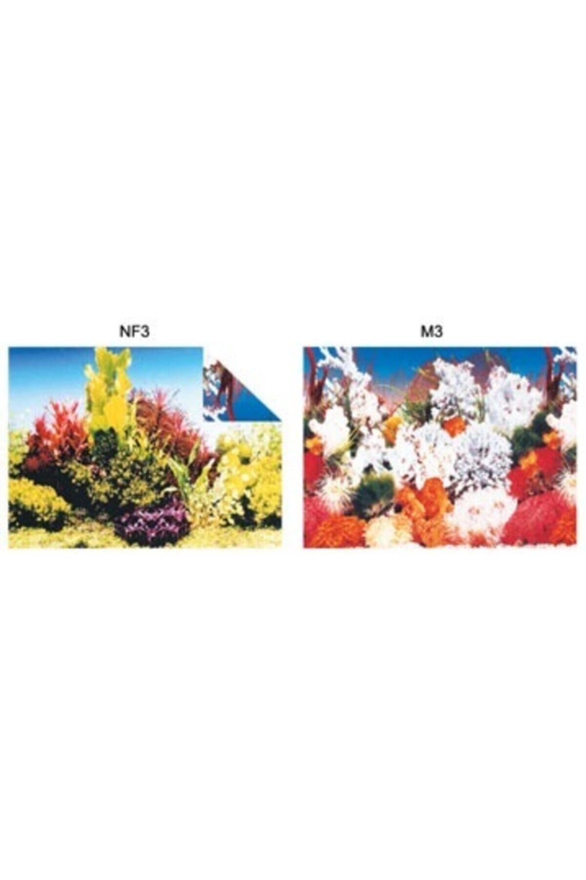 Durbuldum Pls.poster 48 Cm 15 Mt
