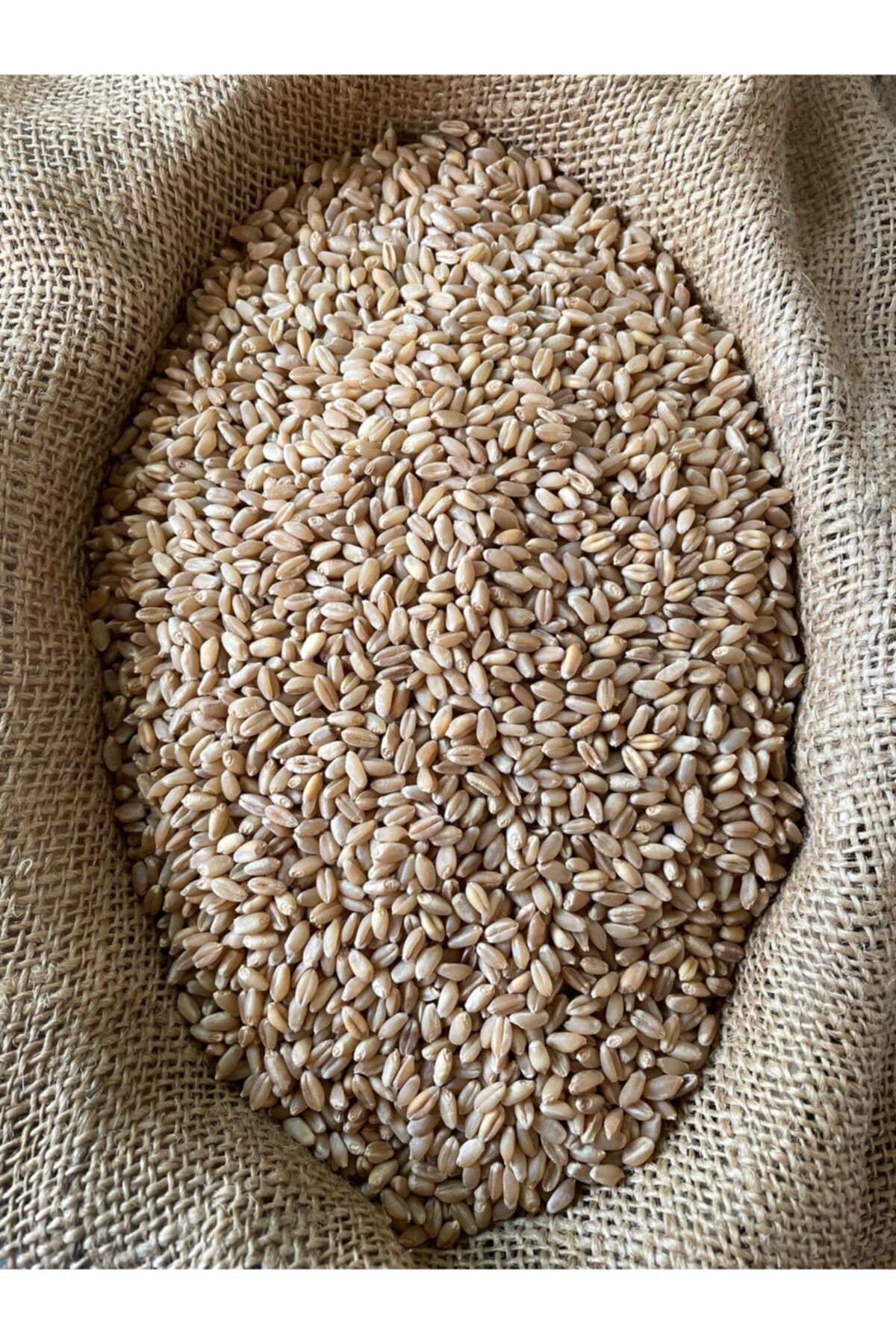 Bahar Tarım Kırmızı Buğday Elenmiş Tavuk, Hindi, Güvercin Doğal Katkısız Yem 25 Kg