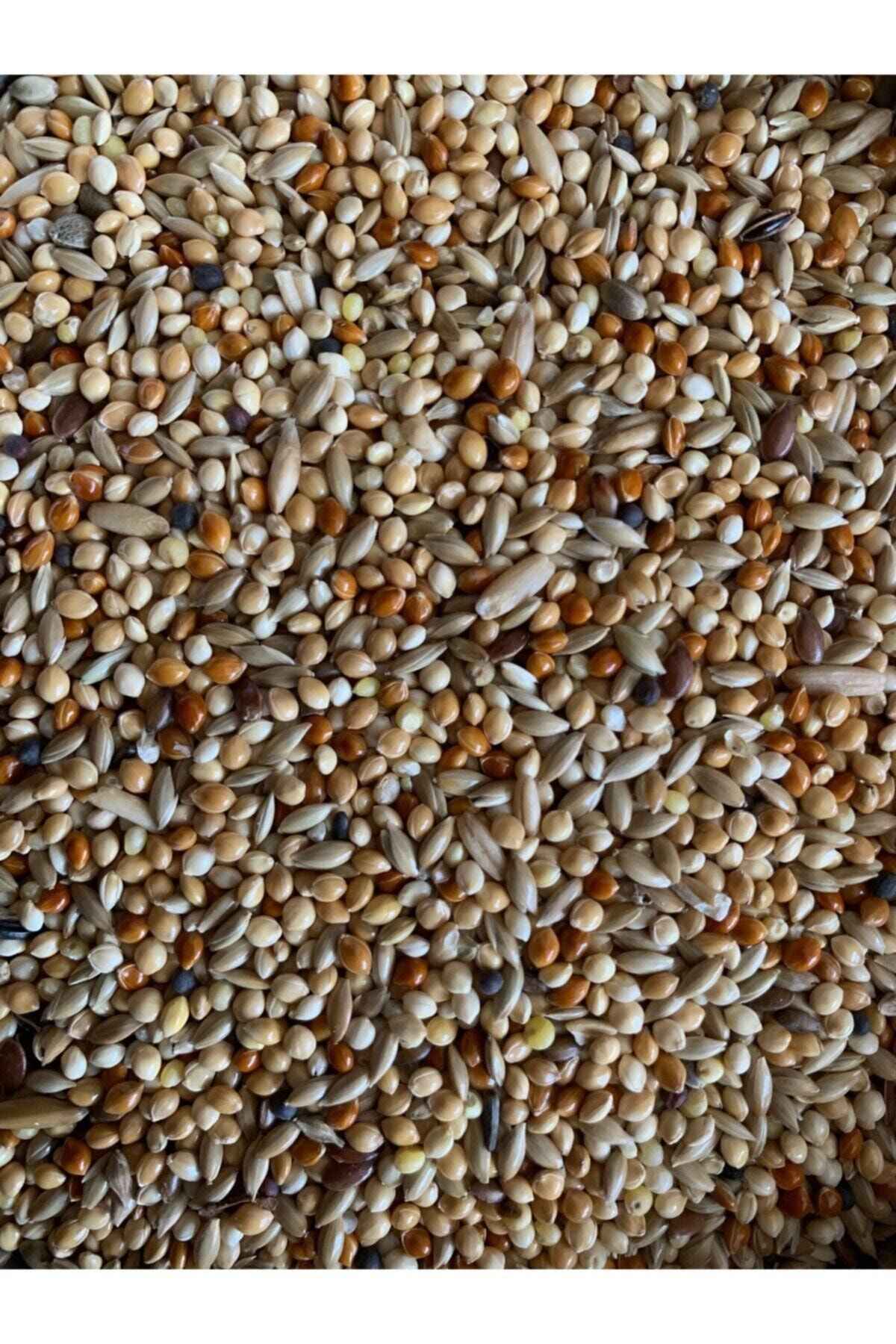 bayraktarpet Vivid Bird Premium Muhabbet Kuşu Yemi ( 1 Kg )