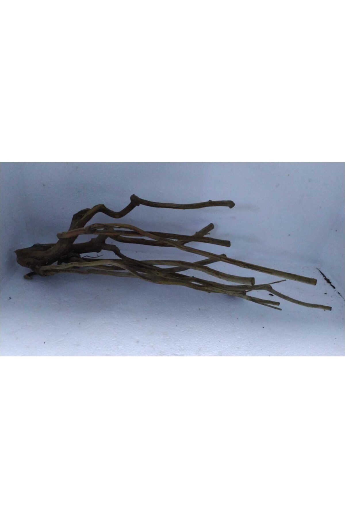 rofo Doğal Akvaryum Dekoru Rp Kök ( Melaleuca ) 45x14 Cm