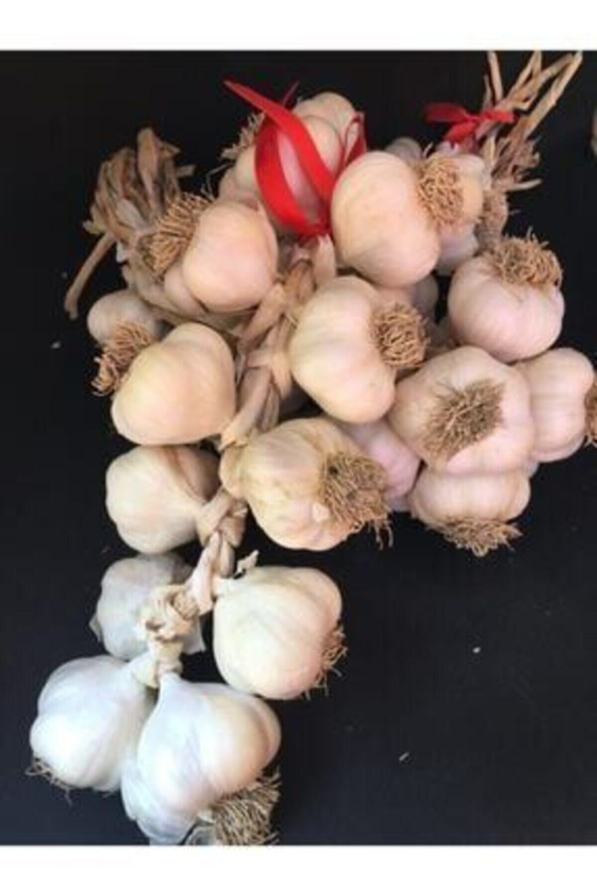 NORTHSTARSTORE Kastamonu Taşköprü Sarımsağı 5 kg