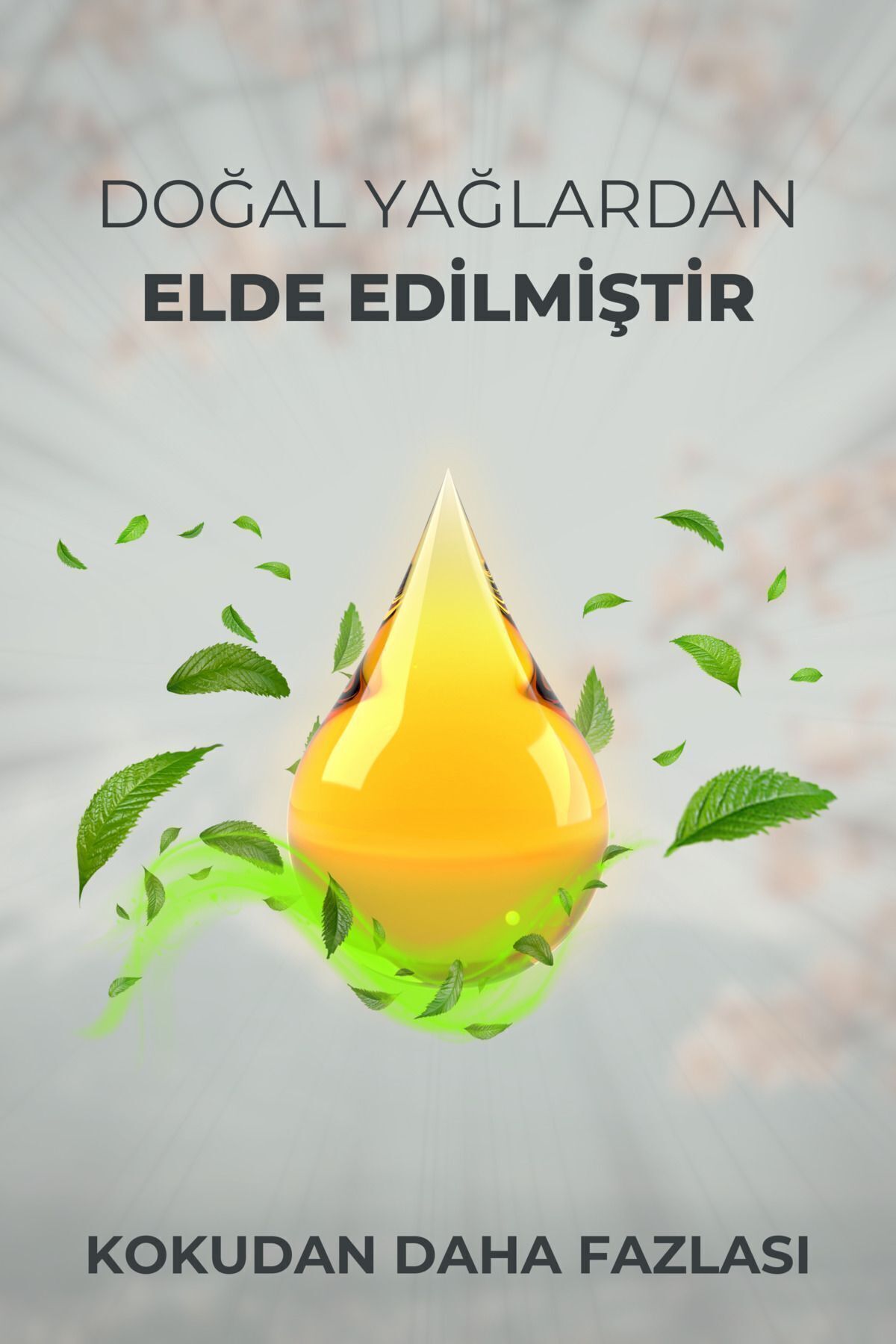 1_org_zoom.jpg