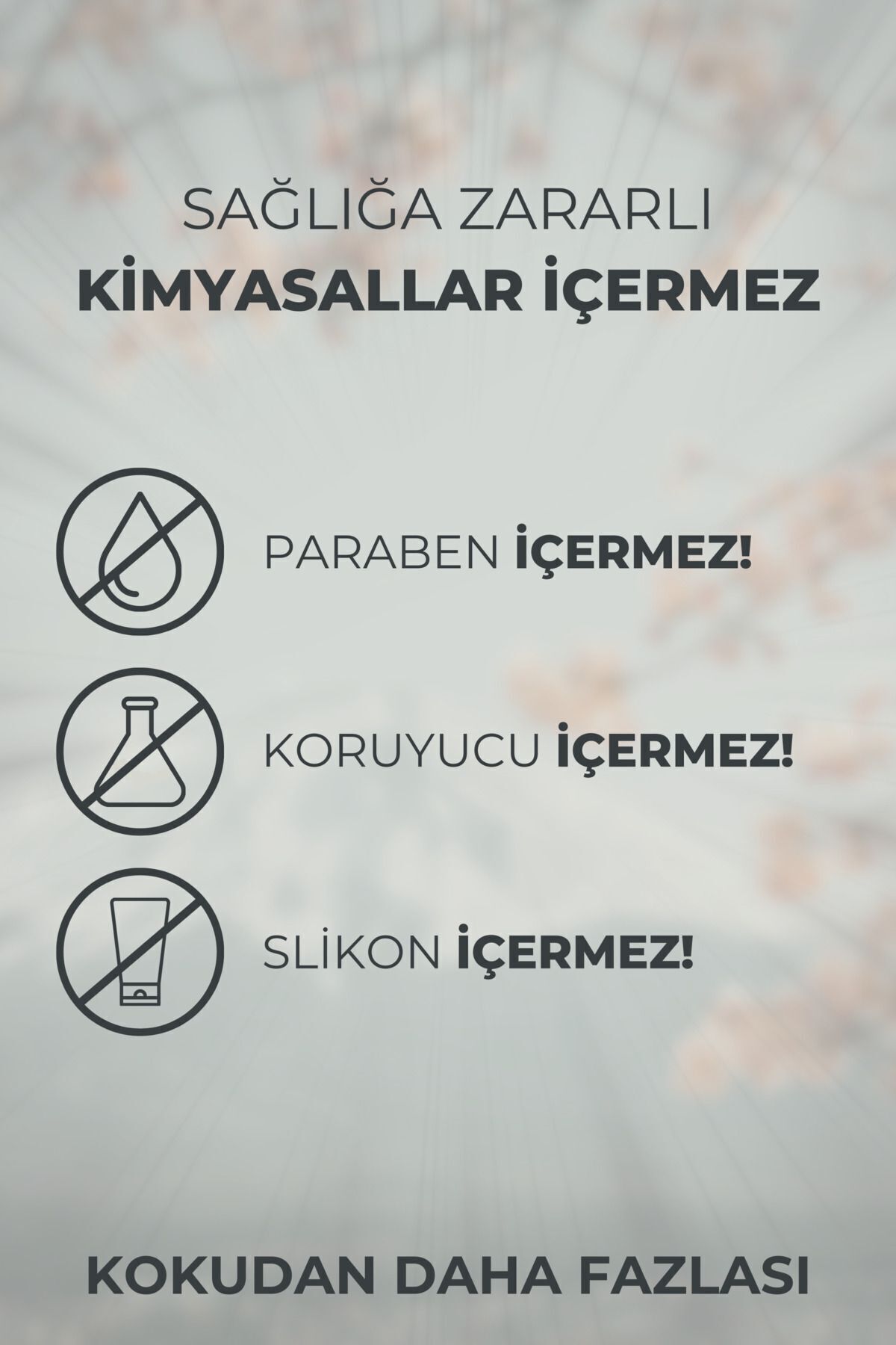 1_org_zoom.jpg