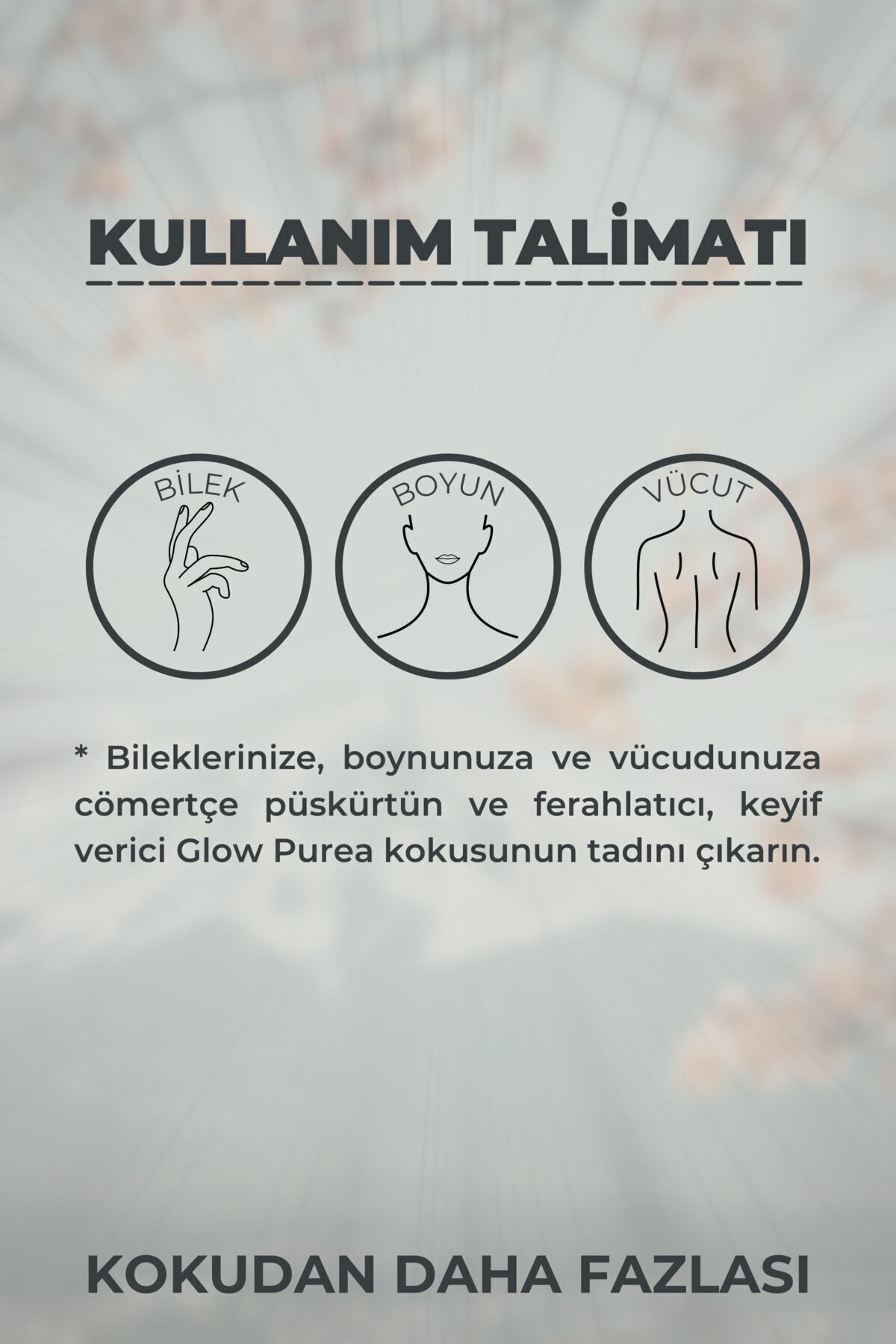 1_org_zoom.jpg