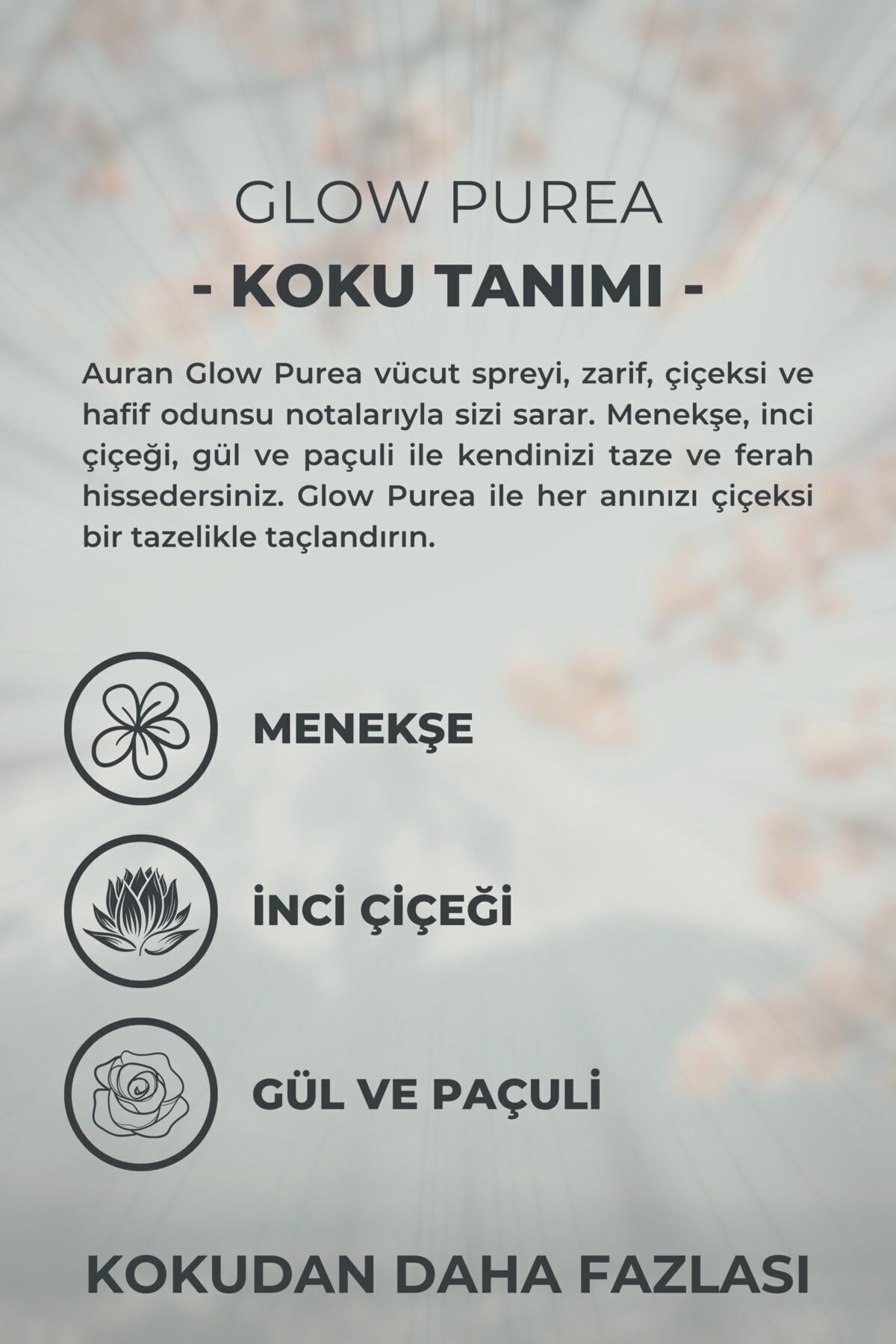 1_org_zoom.jpg