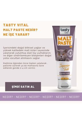 Kedi Malt Pasta 100 gr Kediler Için Tüy Yumağı Önleyici Image 2
