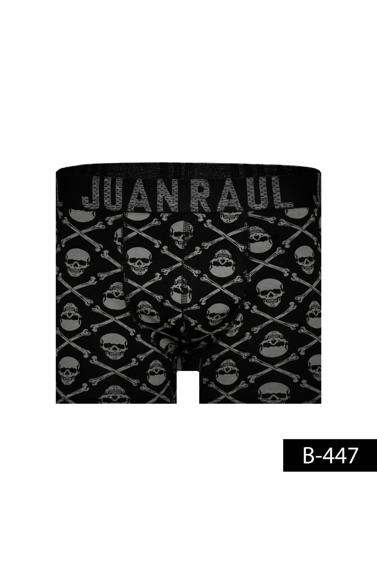 Juan Raul DESENLİ BOXER -SKULL / GRİ