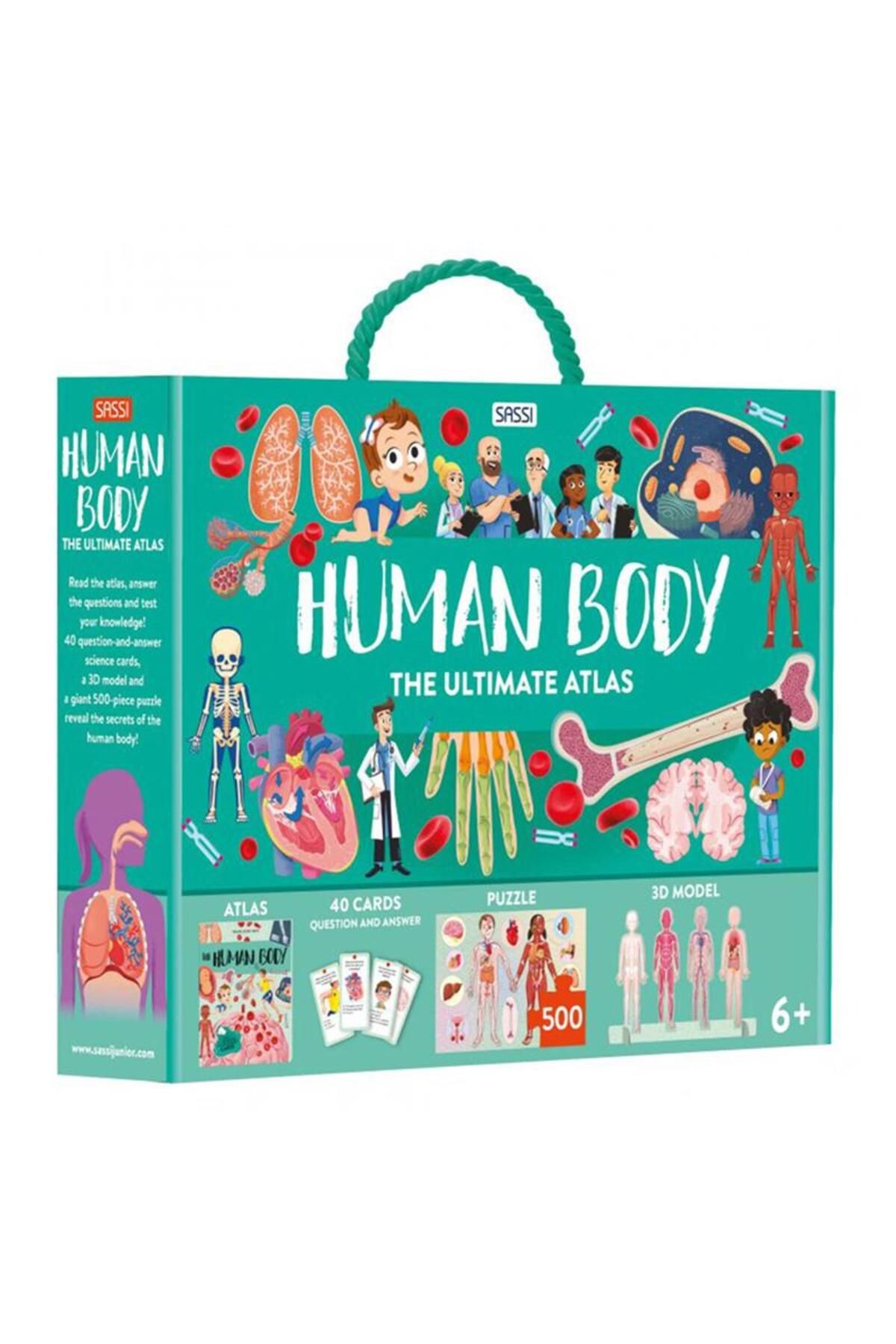 Sassi JuniorSassi Human Body- The Ultimate At...