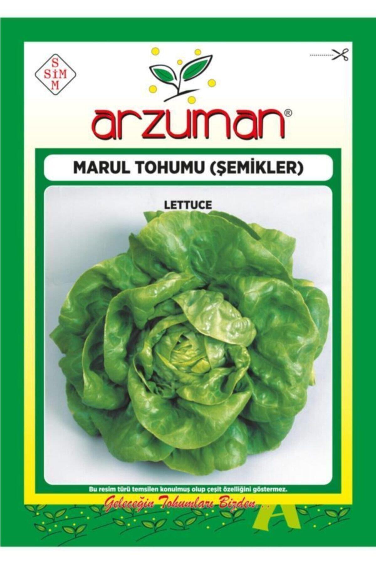 GüçlüTedarik Şemikler Tereyağlı Kıvırcık Marul Tohumu 10 Gram 7000 Tohum