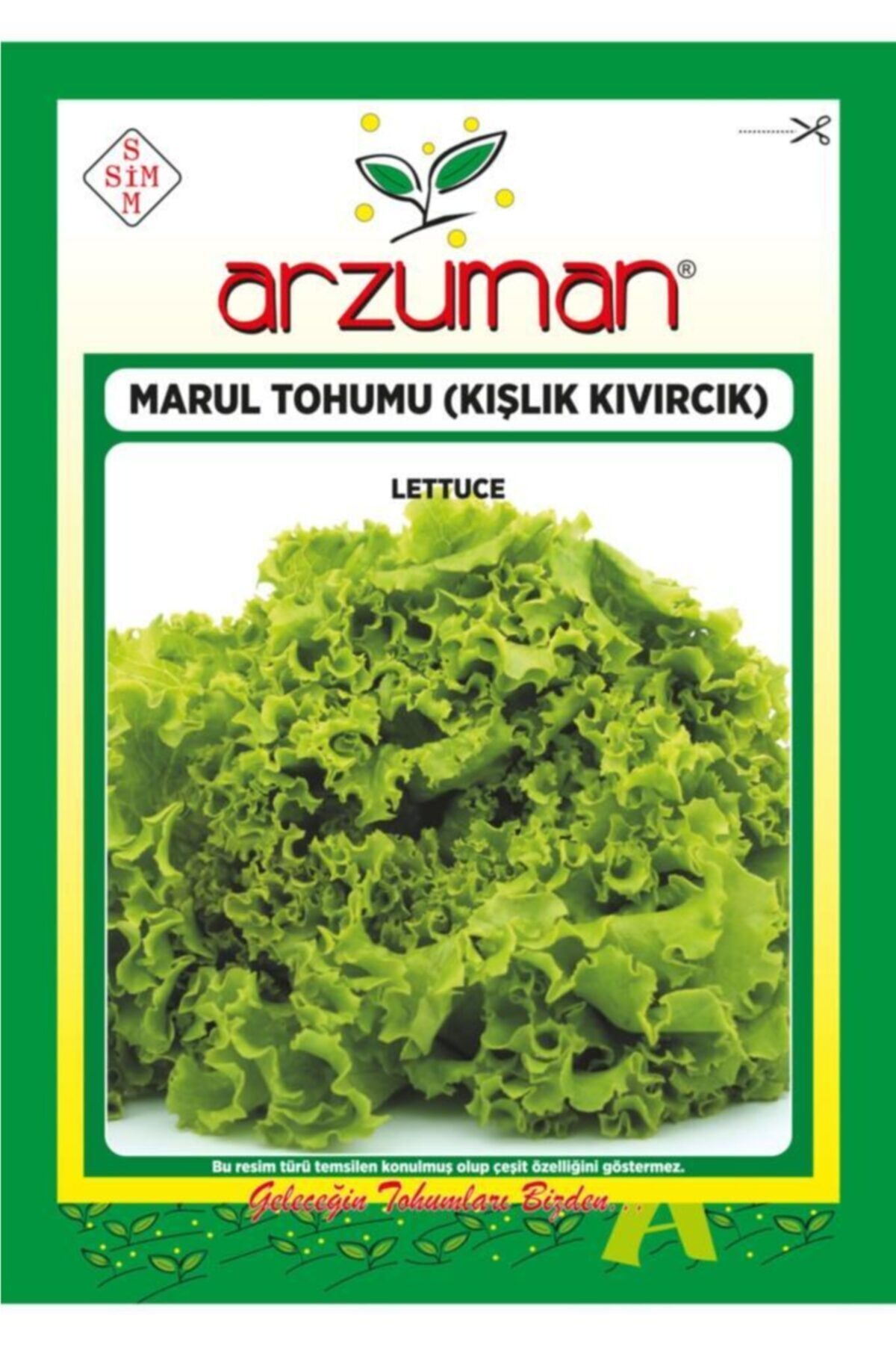 GüçlüTedarik Kışlık Kıvırcık Marul Tohumu 10 Gram 7000 Tohum