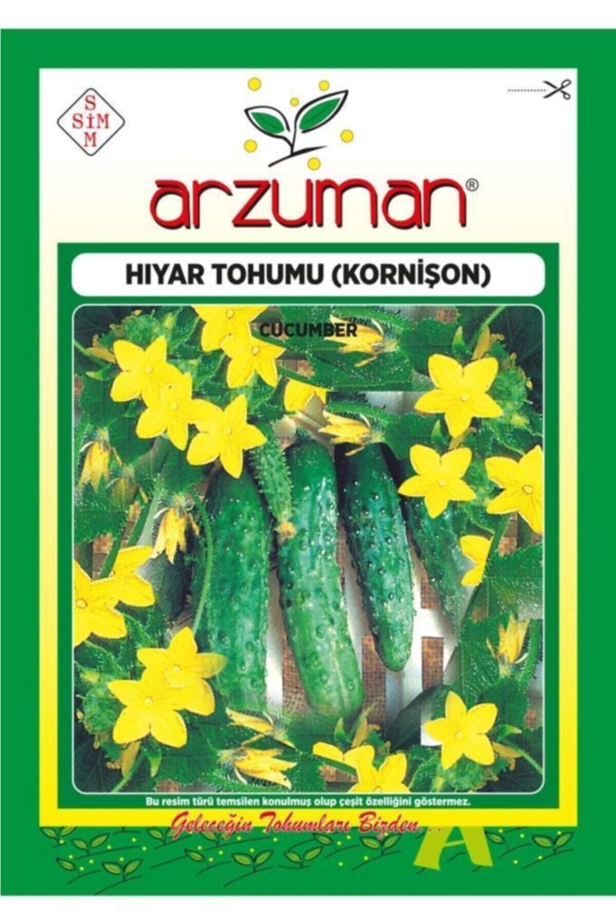 GüçlüTedarik Kornişon Salatalık Tohumu 100 Adet ( Turşuluk)