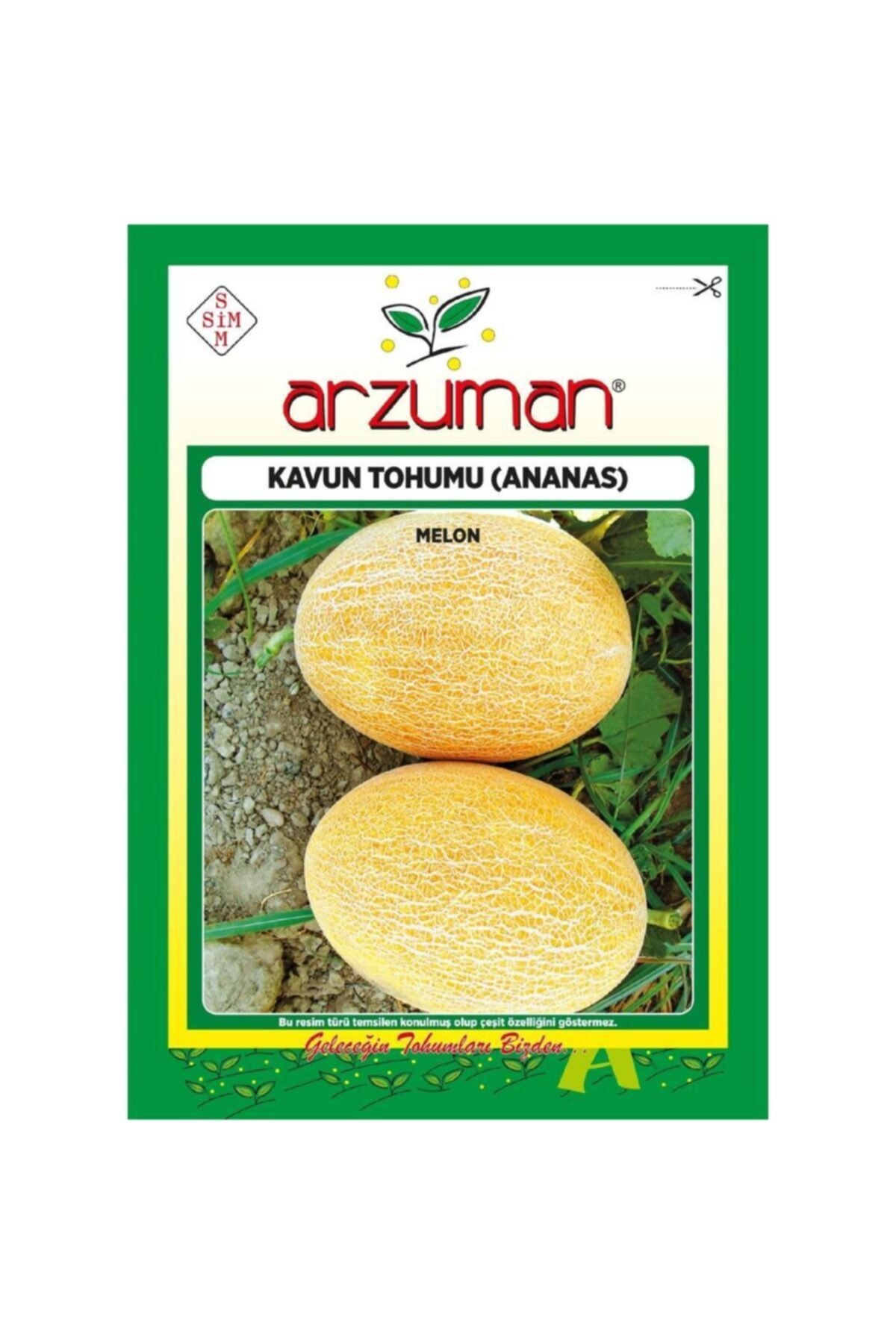 GüçlüTedarik Ananas Kavun Tohumu 250 Tohum 10 Gram