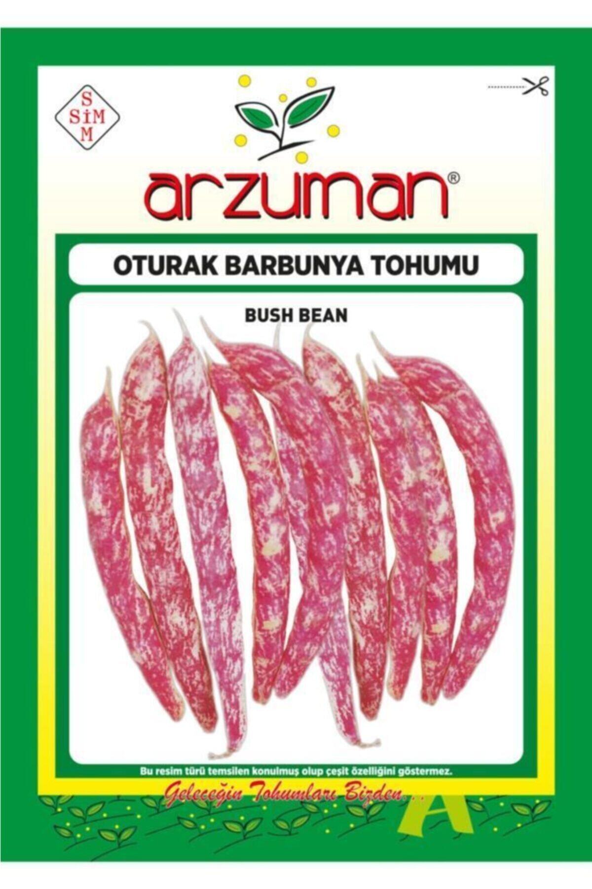 GüçlüTedarik Oturak Barbunya Tohumu 100 Tohum 50 Gram