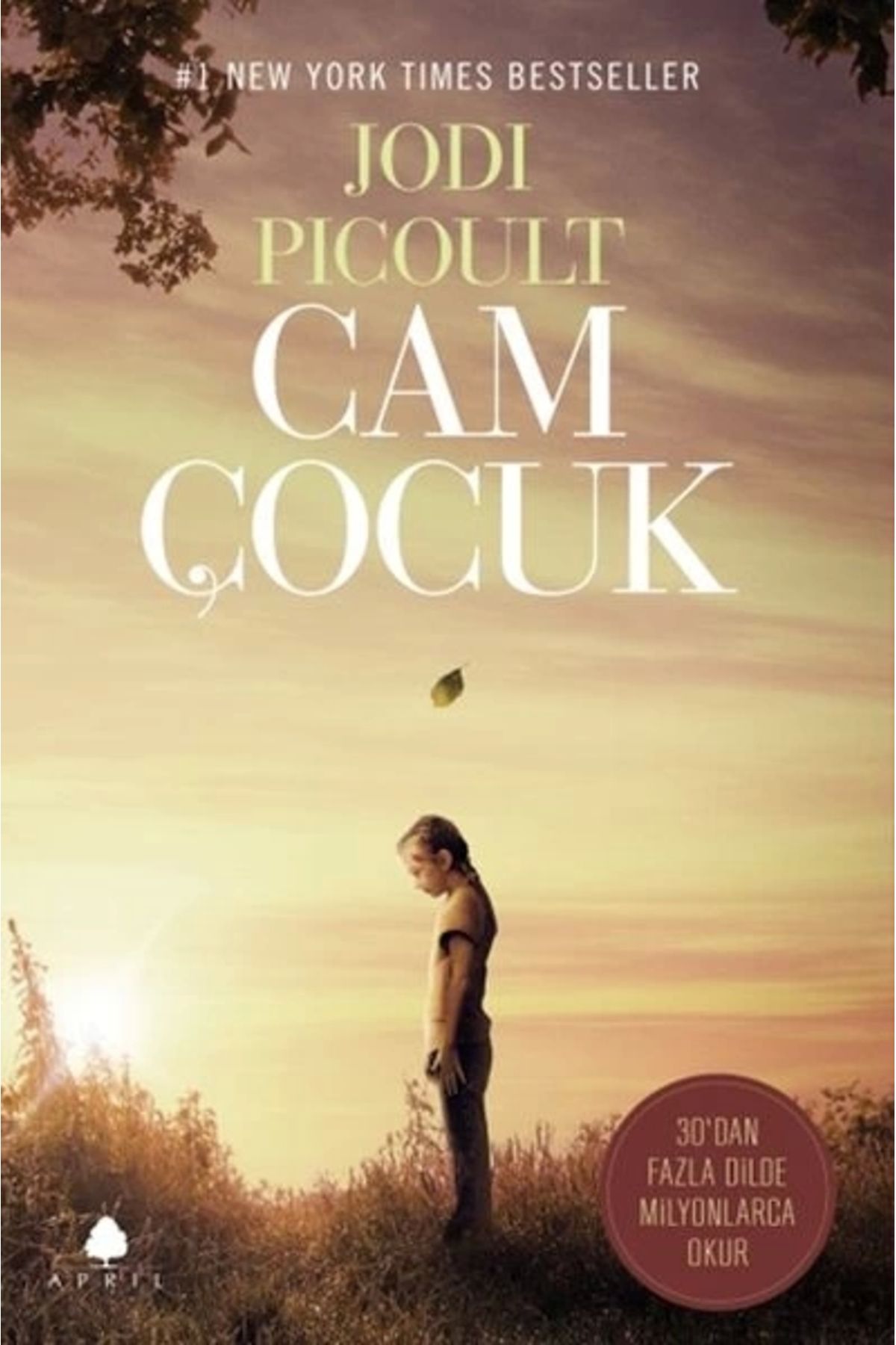 April Yayınları Cam Çocuk