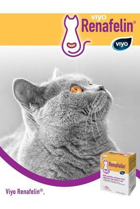 Renafelin Kedi (4x150ml) Böbrek Koruyucu Destekleyici Vitamin Image 2