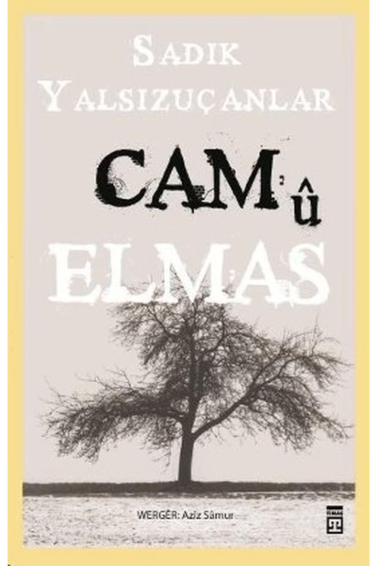 Timaş PublishingCam Ü Elmas