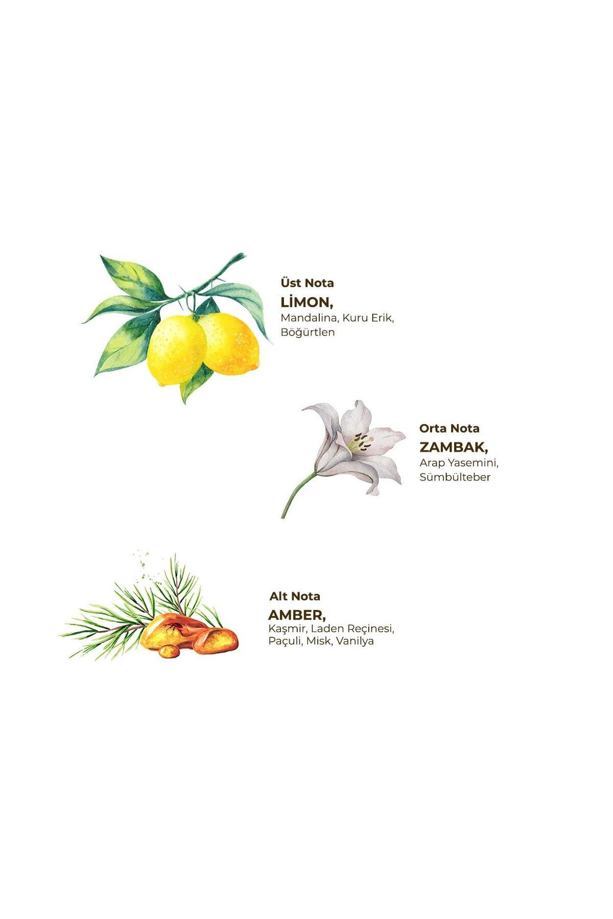 ادکلن یاس 400 میلی لیتر - بطری پت