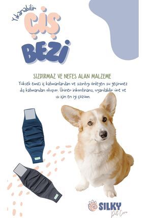 Erkek Köpek Yıkanabilir Çiş Bel Bandı / 5 Süper Emici 1 Yıkanabilir Ped - Süper Emici Ve Sızdırmaz Image 3