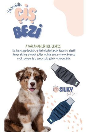 Erkek Köpek Yıkanabilir Çiş Bel Bandı / 5 Süper Emici 1 Yıkanabilir Ped - Süper Emici Ve Sızdırmaz Image 4