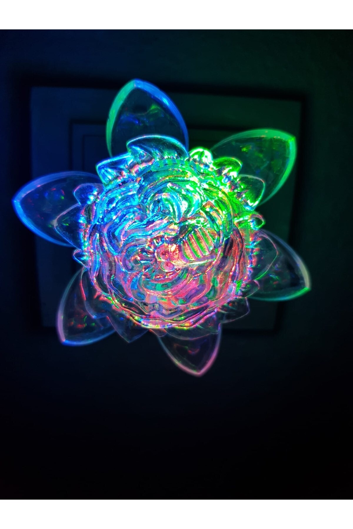 BARDEN Gül Figürlü Renkli Rgb Fişli Dekoratif Gece Lambası Çocuk Odası Aydınlatma