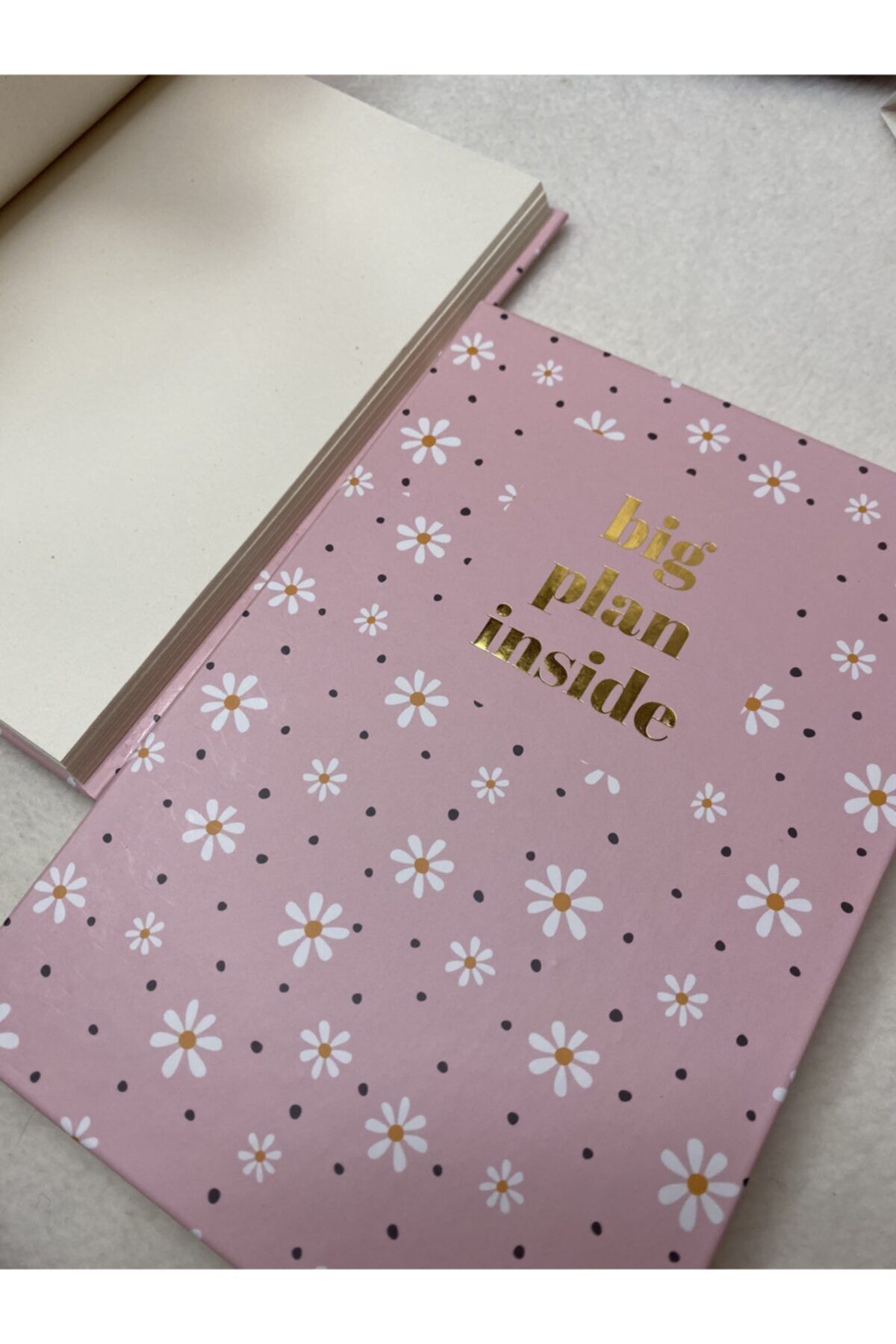 ZezexTasarım Big Plan Inside Desenli Defter