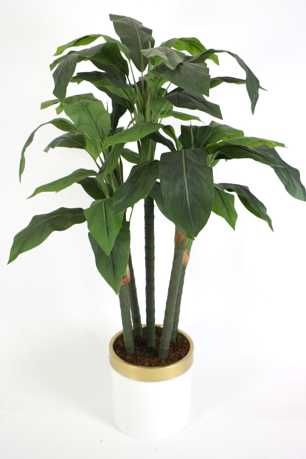 Yapay Çiçek Deposu Yapay Kaliteli Ağaç 5 Gövdeli Massengena (massengena Plant) 150 Cm