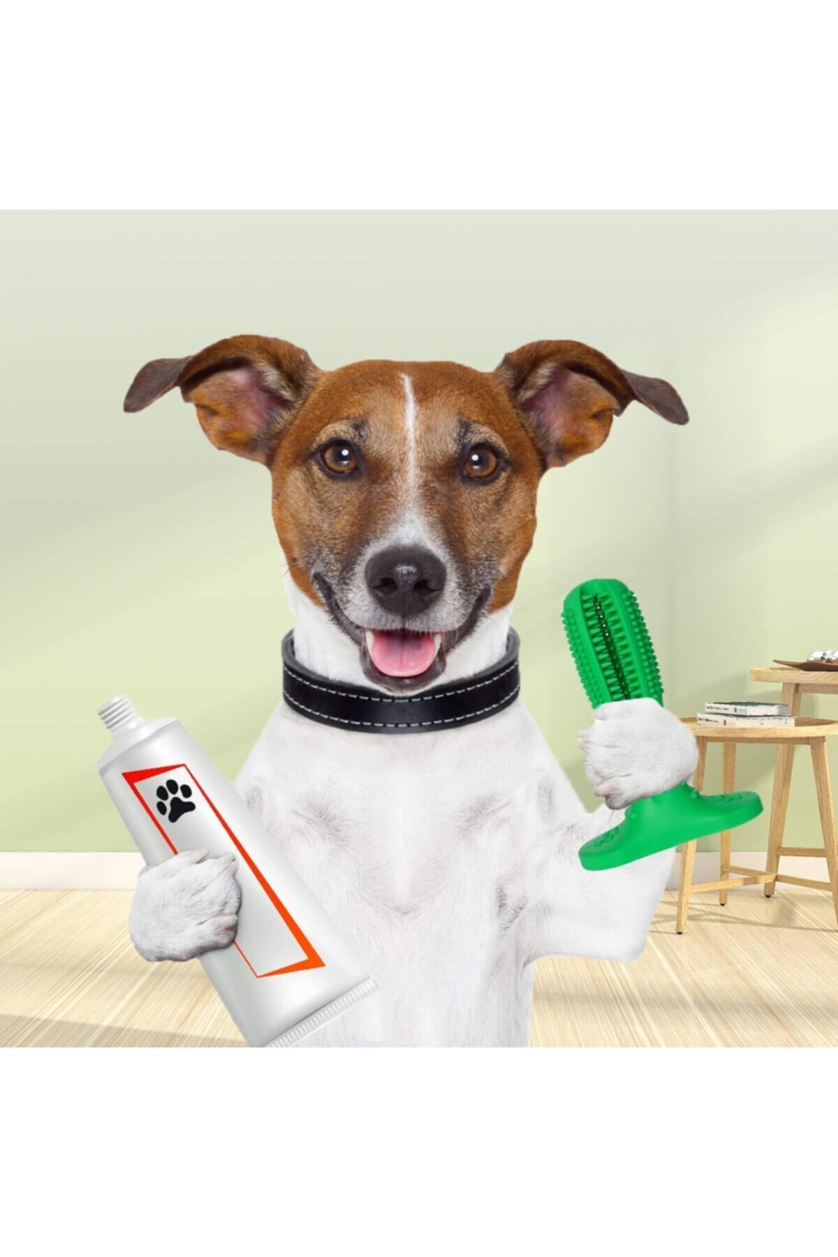 PlevneTicaret Köpek Diş Fırçası Diş Temizleme Oyuncağı Büyük Boy