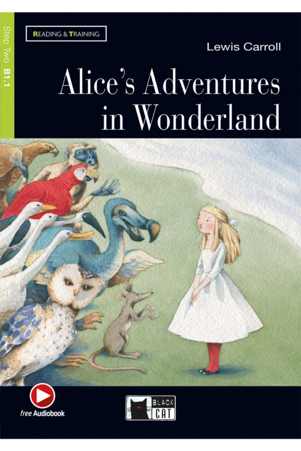 Black Cat Alice's Adventures In Wonderland