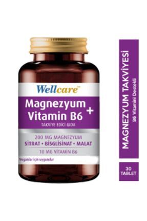 STD Wellcare Magnezyum Vitamin B6 30 Tablet ( TEKLİDİR ) Image 0