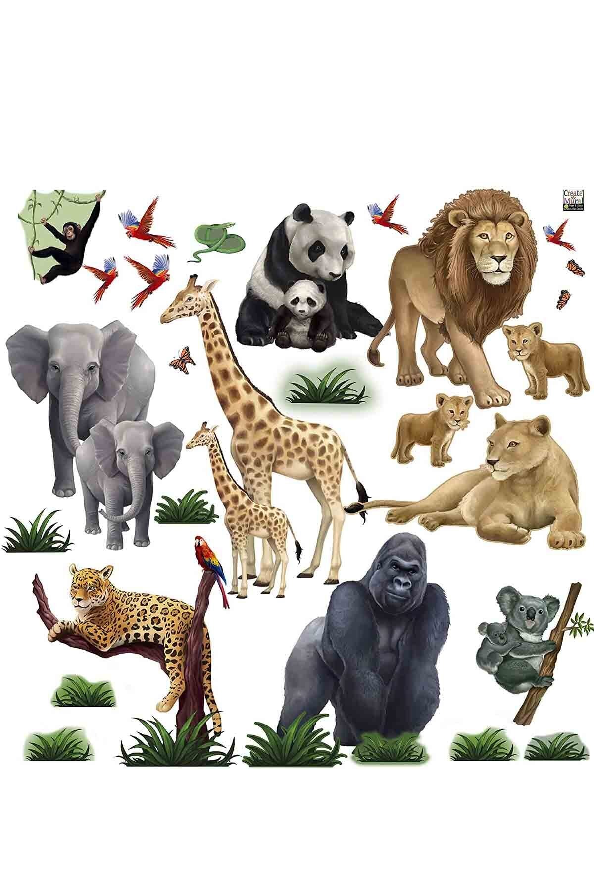 Kt Grup Safari Hayvanları Premium Set Duvar Sticker