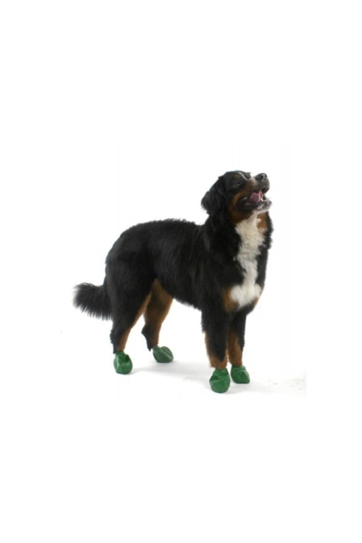 Pawz Yeşil X Large Büyük Irk Köpek Galoşu 12 Adet