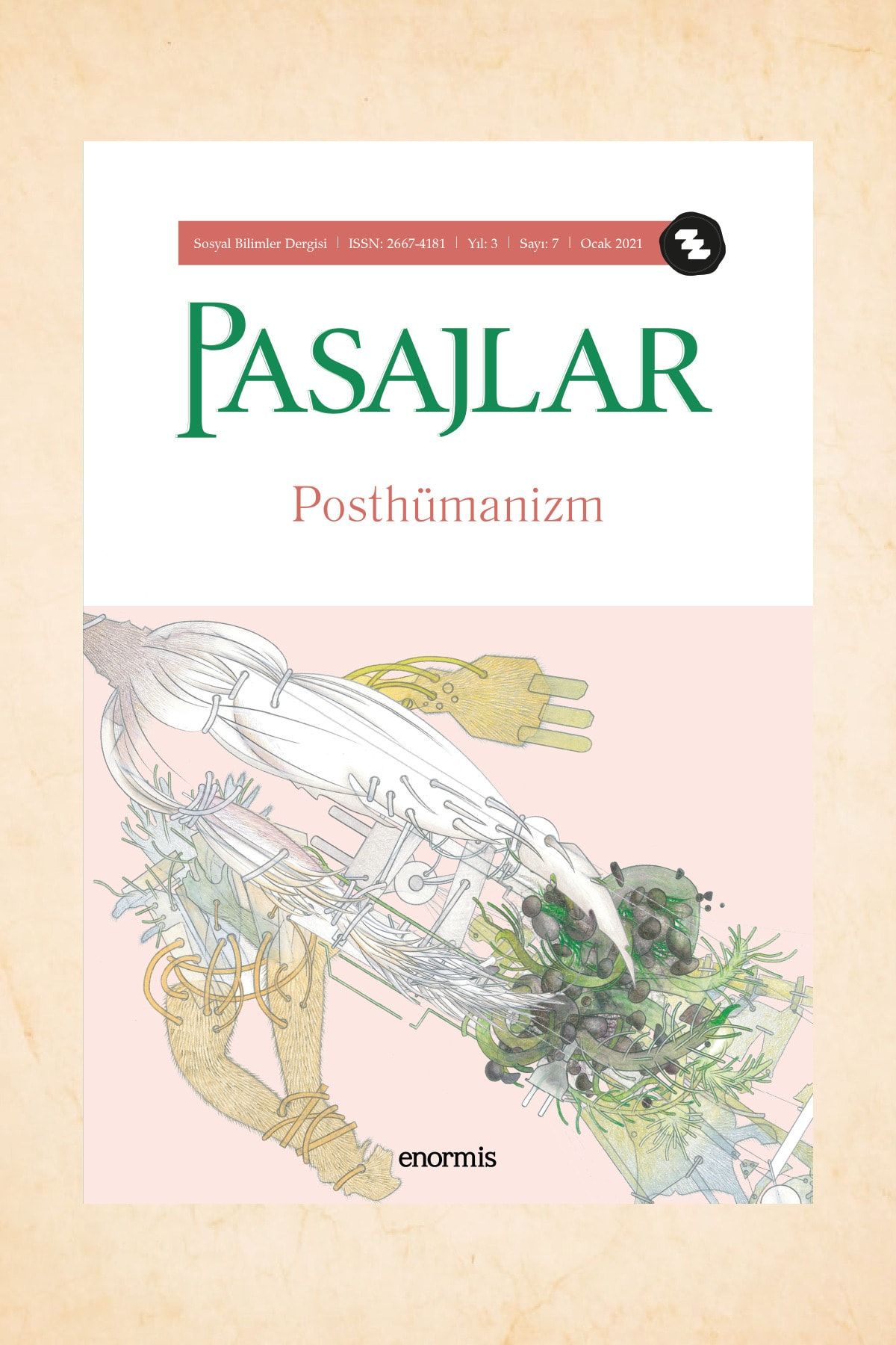 Enormis Yayınları Pasajlar Dergisi Sayı 07: Posthümanizm